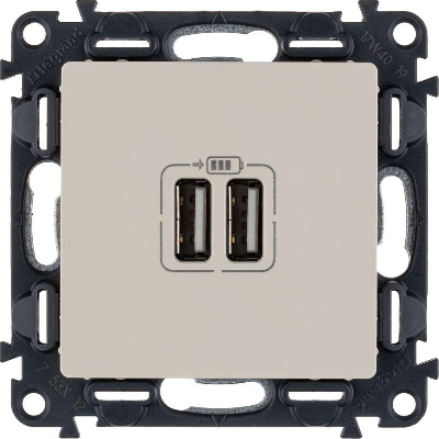 Розетка USB 2-м Valena Life 240В/5В 1500мА с лицев. панелью механизм сл. кость Leg 753512